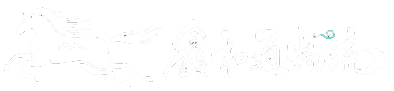 升航科技